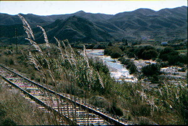 River Almanzora near Cantoria