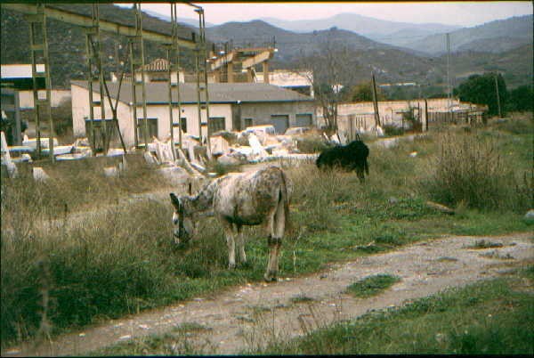 Line of the siding to marble factory at Cantoria