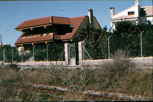 Oranges across the line in Cantoria