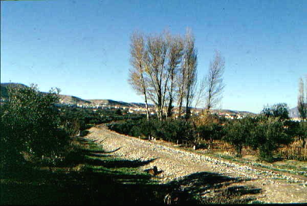 Looking back towards Baza