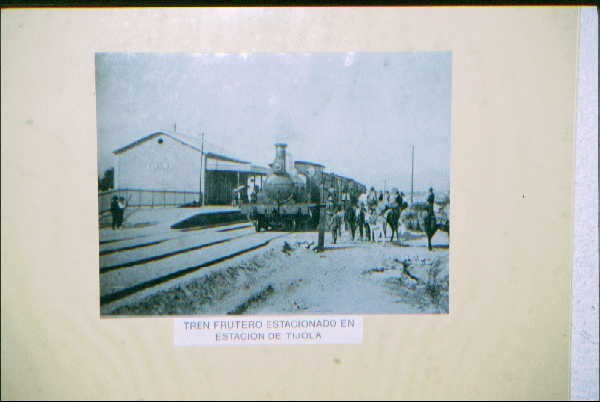 Fruit train at Tijola, around 1910