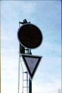 Signal at Fines