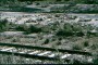 Goats on the bed of the Almanzora river