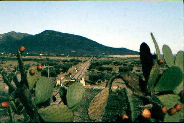 View from old N340 bridge