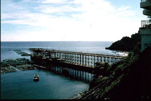 El Hornillo pier today