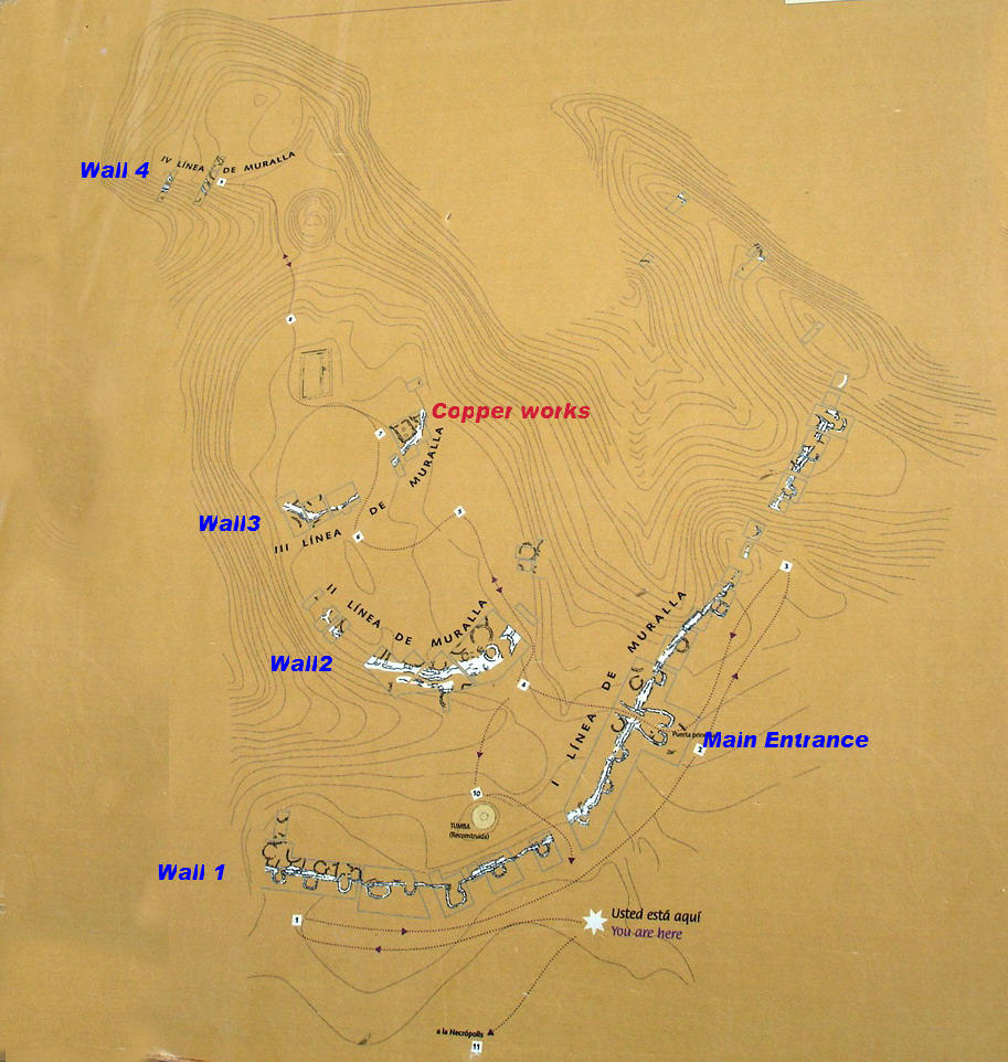 Contour map of the site