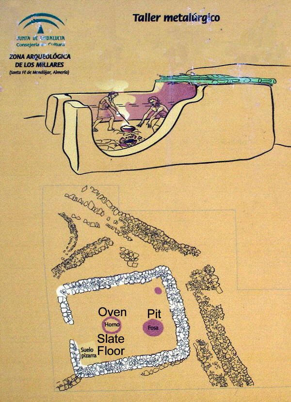 Contour map of the site