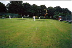 The lawns
