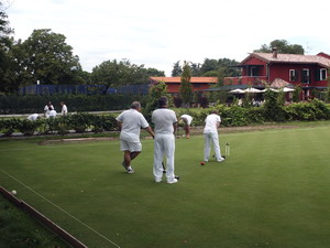 The lawns