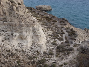Cantilever support