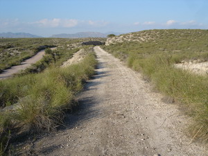 Towards Agua